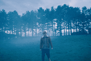 People Subtract GIF by Ed Sheeran