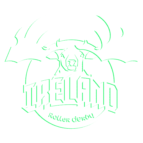 Team Ireland Sticker