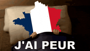 France Eltrapo GIF