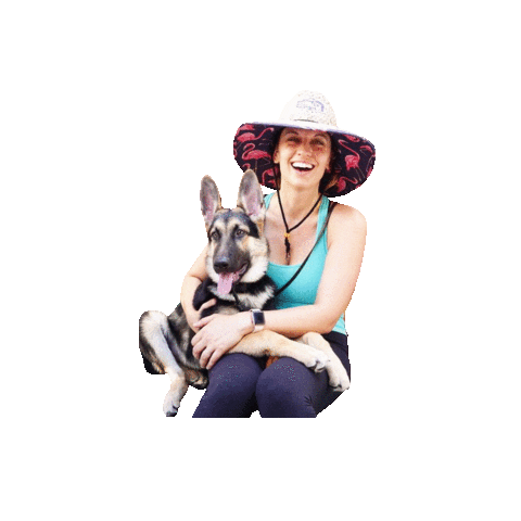 Walking Dog Training Sticker