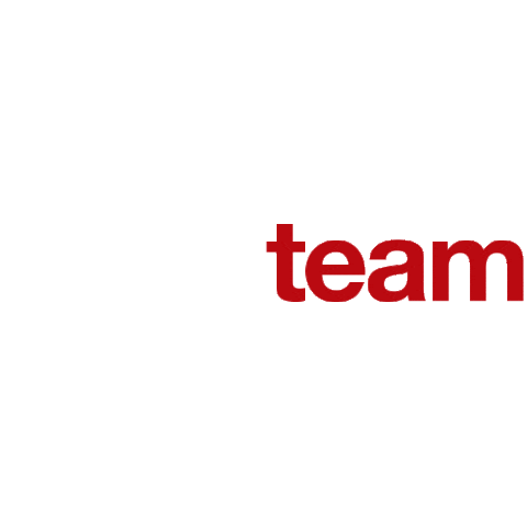 IED brasil Sticker