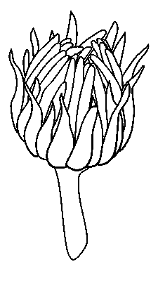 Sticker Flower Sticker