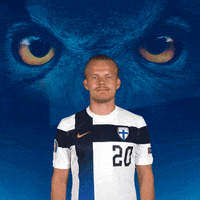 Euro Cup Football GIF by Huuhkajat