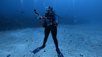 Peace Diving GIF by JSRanchDogDesigns