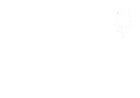 Pitbull Sticker by Pit Bull Jeans