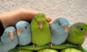 chilling hang out GIF