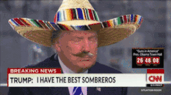 Sombrero's meme gif