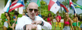 Ultra Music Pitbull GIF by Ultra Records