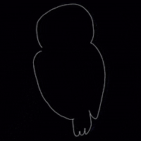 All Seeing Night Owl GIF by Barbara Pozzi