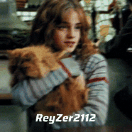 Harry Potter Expecto Patronum GIF