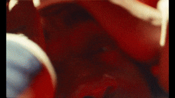 GIF by Eem Triplin