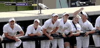 Celebration Hype GIF by NCAA Championships