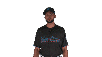 Sandy Alcantara Miami Sticker by MLB