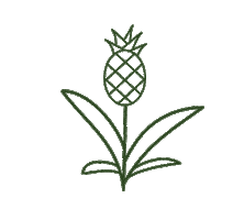 Costa Rica Loop Sticker by eco:fibr