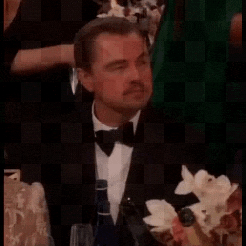 Leonardo Dicaprio Leo GIF