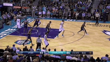 fazzettino  GIF