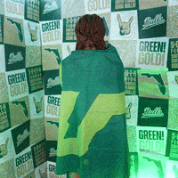 South Florida Horns Up GIF by USF Athletics