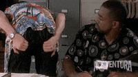 Liar Liar I M Kicking My Ass Gif By Jerology Find Share On Giphy Liar Liar I M Kicking My Ass Gif By Jerology Find Share On Giphy