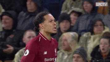 Premier League Yes GIF by Liverpool FC