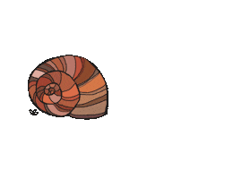 Storm Snail Sticker
