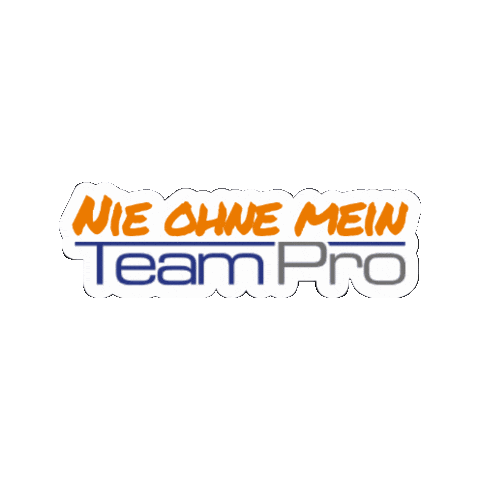 TeamProPersonaldienstleister Sticker