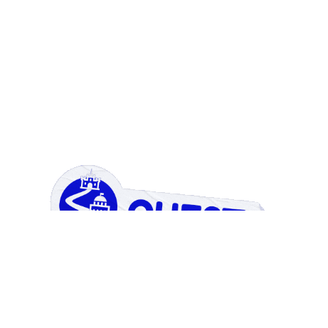 Questo Sticker