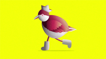 bird gif artist GIF by Emiliano