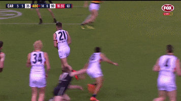 round 23 goal GIF by Adelaide Crows