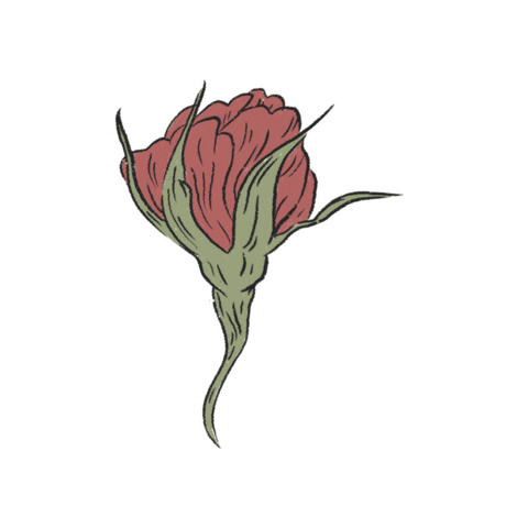 Animated Sticker