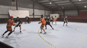 delftlacrosse GIF