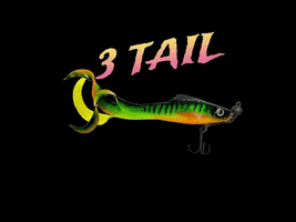 Everbait fish fishing tails angeln GIF