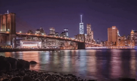 New York GIF - Find & Share on GIPHY