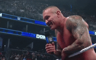 Wwe GIF