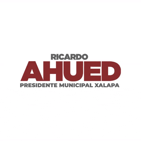 ricardoahuedcandidato GIF