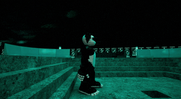 Panda Room GIF by Endangered Labs