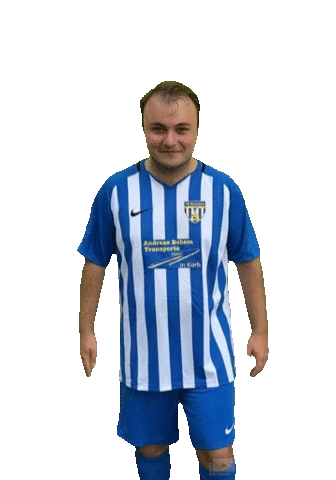 DMZWeinstadt Sticker