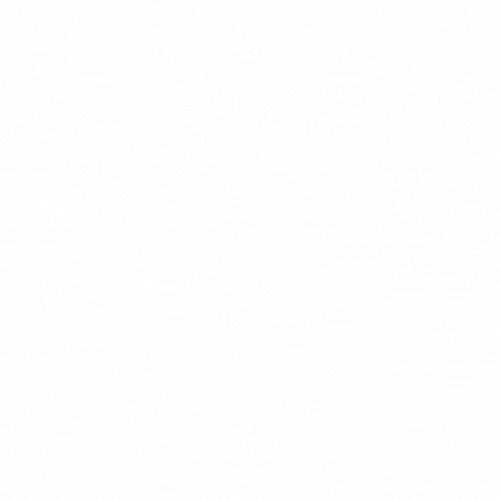 Fit or Fat Market GIF