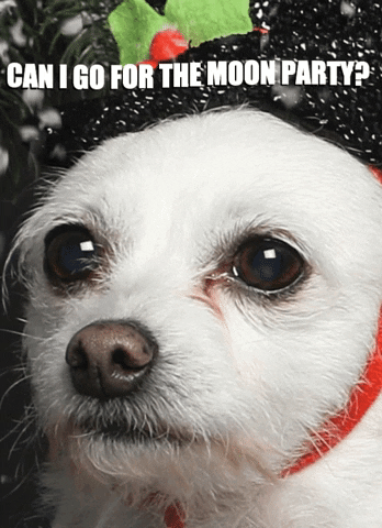 themoonparty party space crypto moon GIF