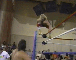 Sorry-for-the-wwf-quality-videos GIFs - Get the best GIF on GIPHY