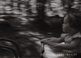 Merry-Go-Round Smile GIF by Brabant in Beelden