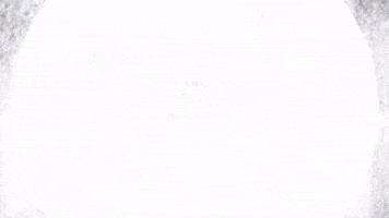 B2B Scaleup GIF by MarketScale