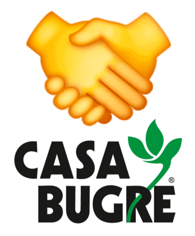 Casa Bugre Sticker