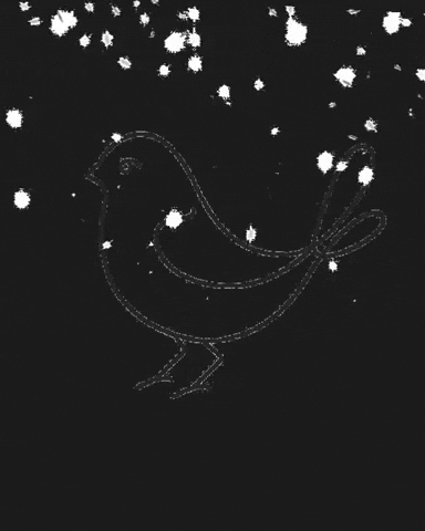 The Pink Finch GIF