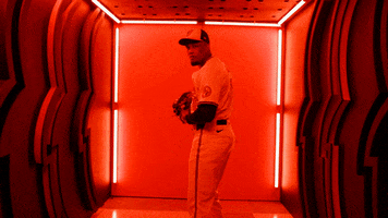 Major League Baseball Sport GIF by Baltimore Orioles