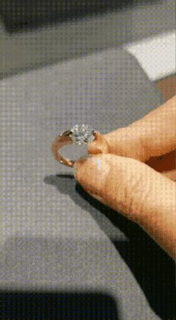 Engagement Ring GIF by Shiv Shambu
