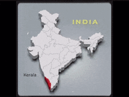 Rahul Gandhi Congress GIF