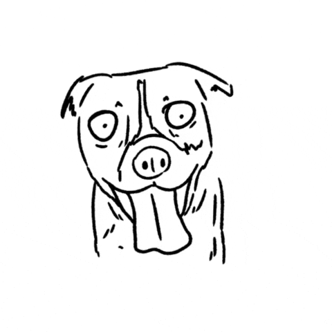 Dog Feeling Dumb GIF by butpoorlydrawn