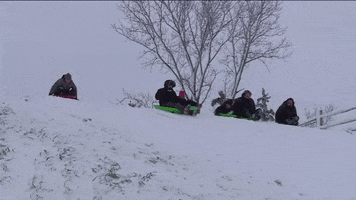 sledding dean richards GIF by WGN Morning News