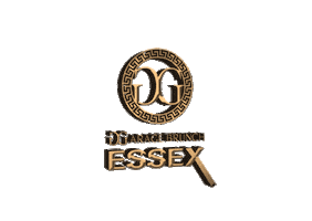 Party Festival Sticker by HHL