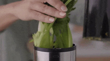 Juicer Juicing GIF by BuzzFeed